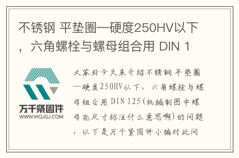 不銹鋼 平墊圈—硬度250HV以下，六角螺栓與螺母組合用 DIN 125